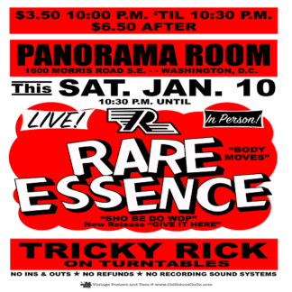 Panorama Room Posters - 2 Shows